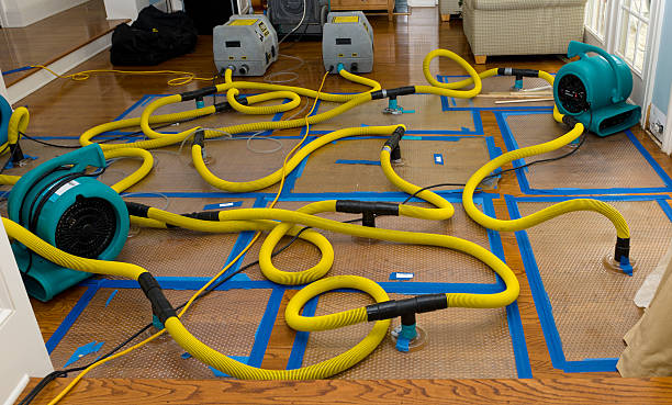 Professional Basement Flood Cleanup technician working in Goodspring, TN